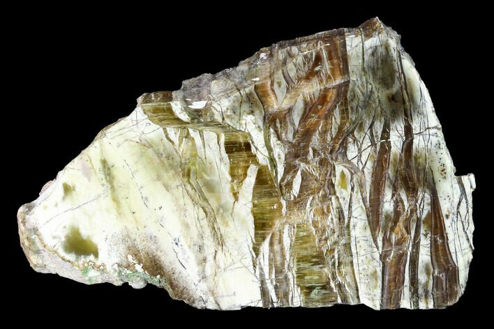 Chatoyant, Polished Pietersite Section - Arizona #146427